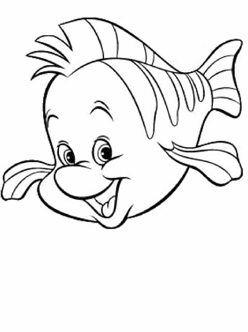 peixe lindo