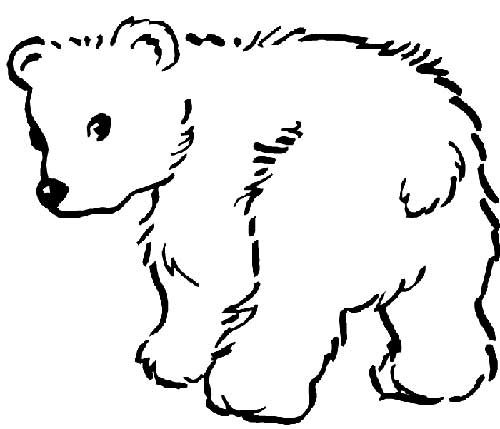 Desenhos de Urso