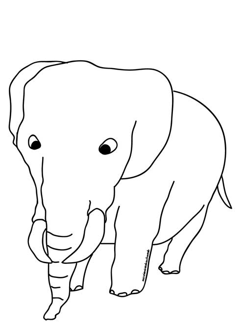 elefante africano