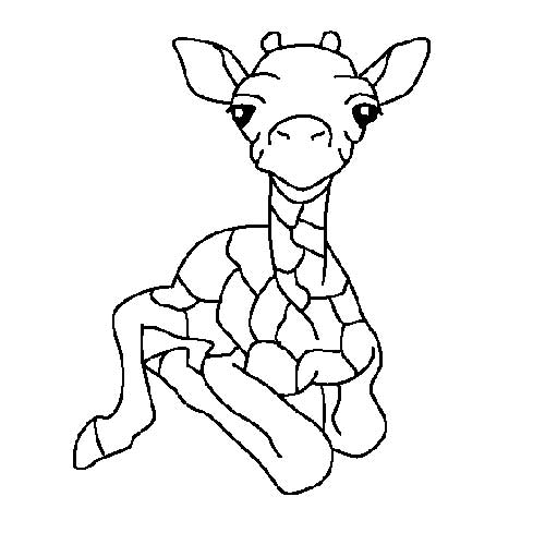 Desenhos de Girafa 4 Desenhos de Girafa 4