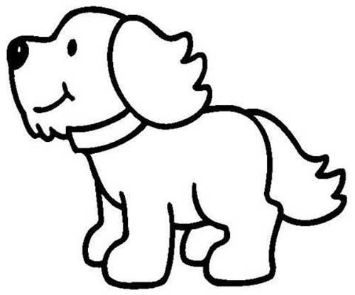 cachorro