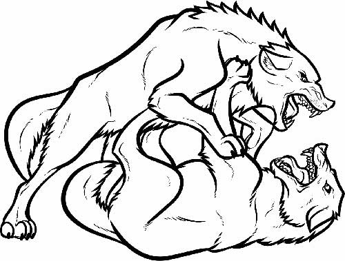 Desenhos de Lobos