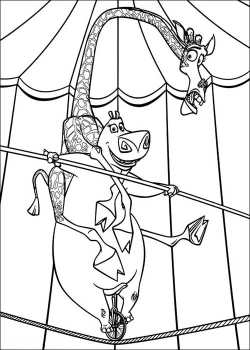 Desenhos do Madagascar desenhos-do-madagascar