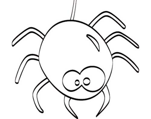aranha