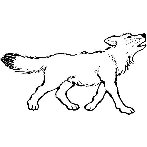 cachorro 1 4