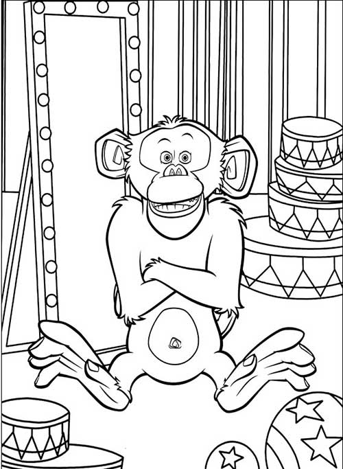 macaco macaco
