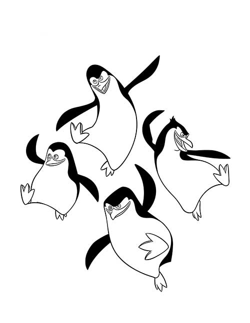 penguim penguim
