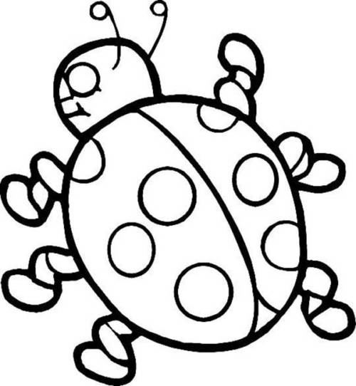 desenhos de Joaninha