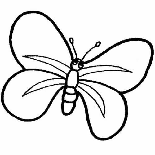 desenho de borboleta 3 bem simples