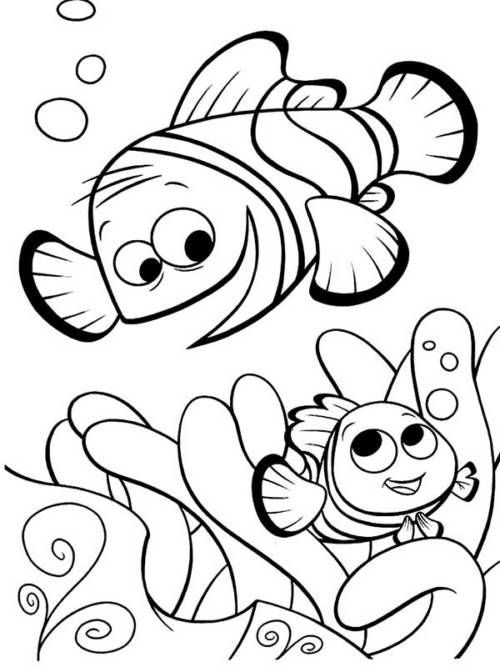 amiguinhos procurando o nemo