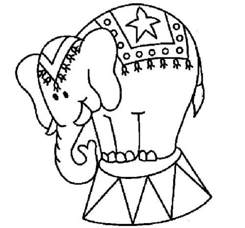 elefante