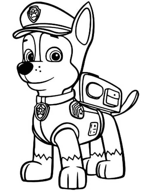 dog