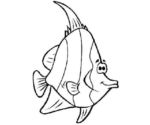 peixe para baixar