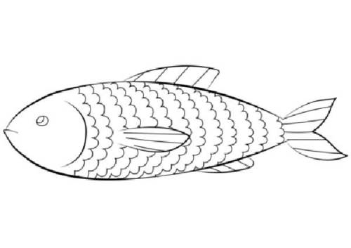 peixe para download