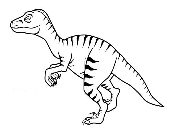 Velociraptor parado