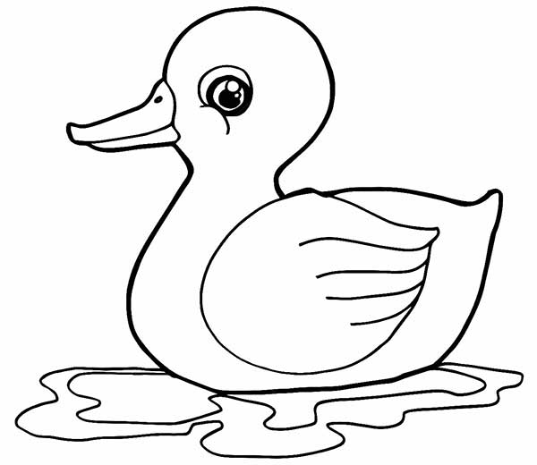 pato para colorir pequeno