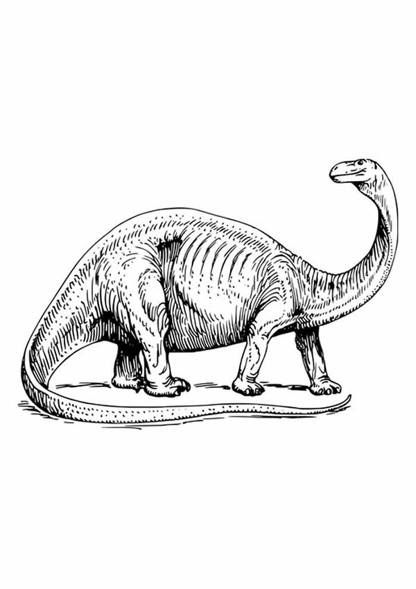 pescoco longo desenhos de dinossauros para colorir