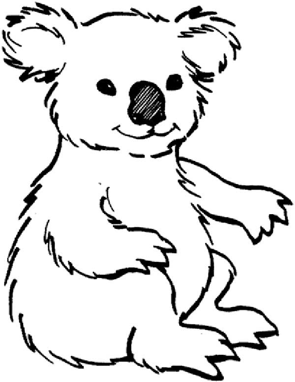 Desenhos da Amazonia 3 Animais para pintar