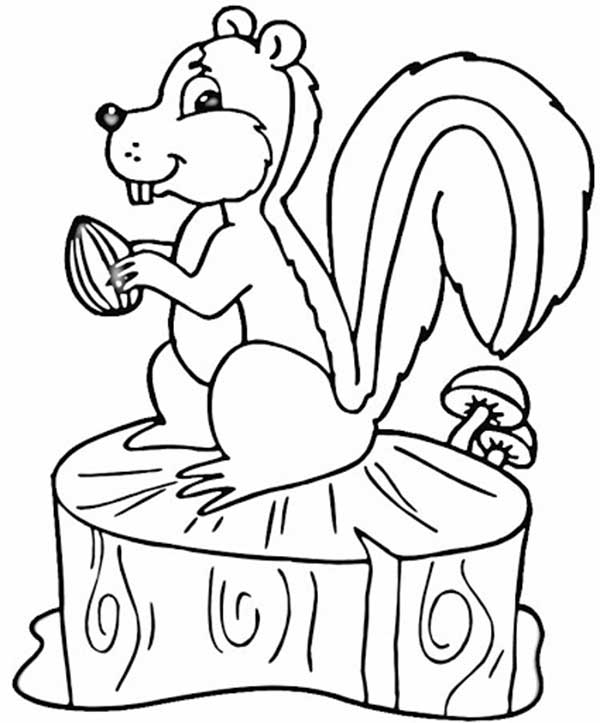 Desenhos da Amazonia Para colorir