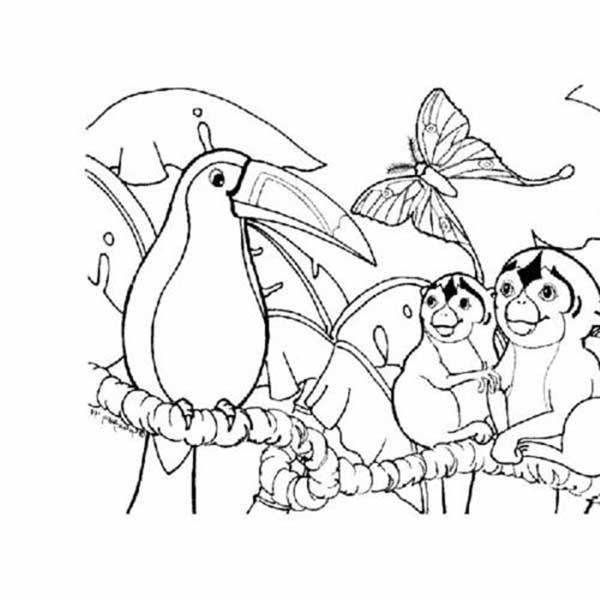 arara Animais da Amazônia para pintar