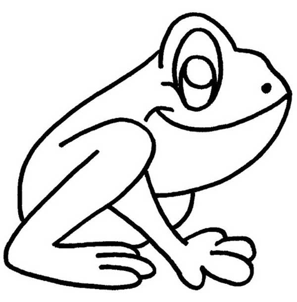 sapinho feliz Sapo