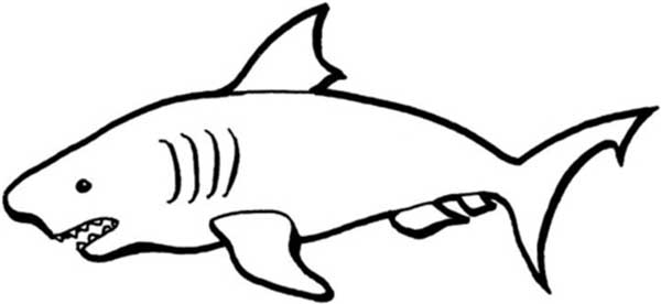 desenho de tubarao 1