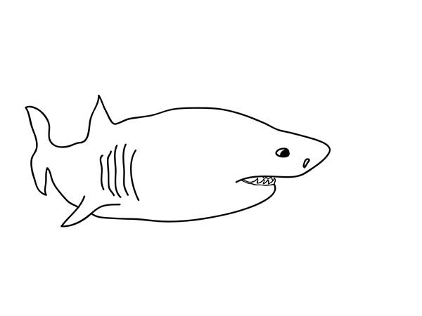 desenho de tubarao