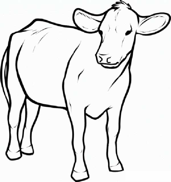 no embiente rural