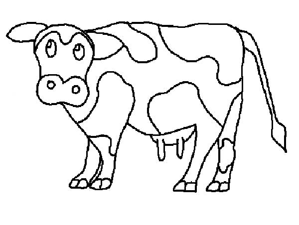 vaca para colorir