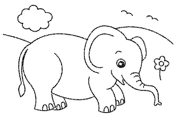 desenho de elefante para colorir