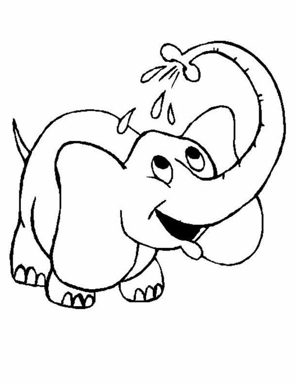 desenho de elefante para pintar
