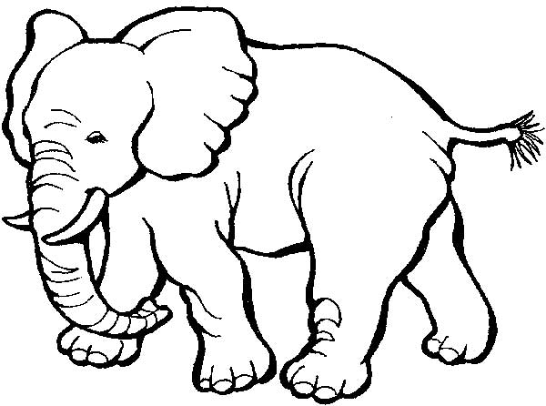 desenhos de elefante