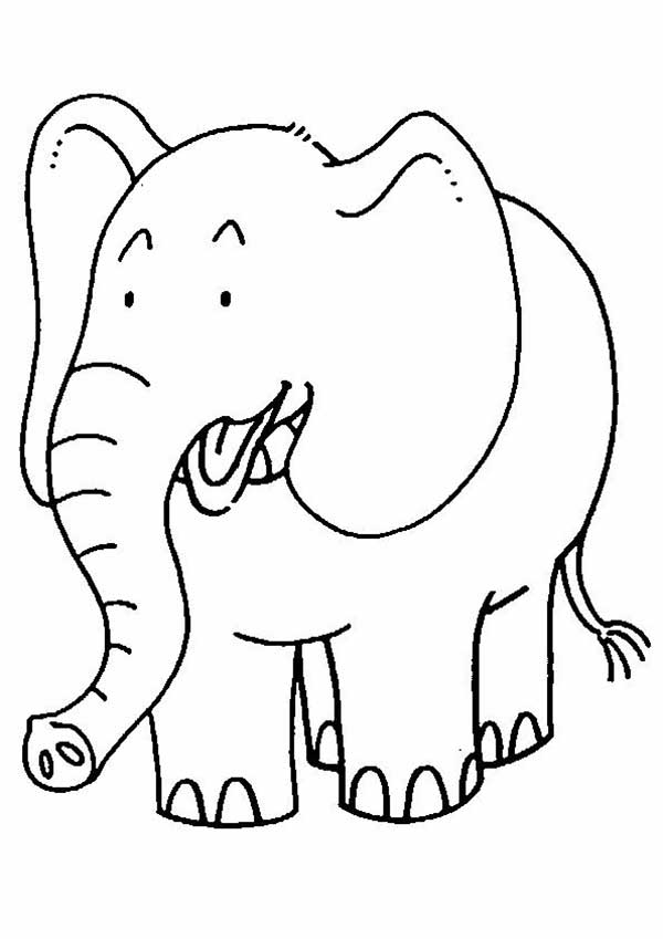 elefante para colorir