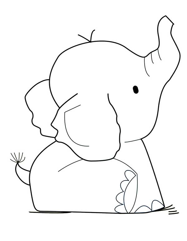 filhote de elefante