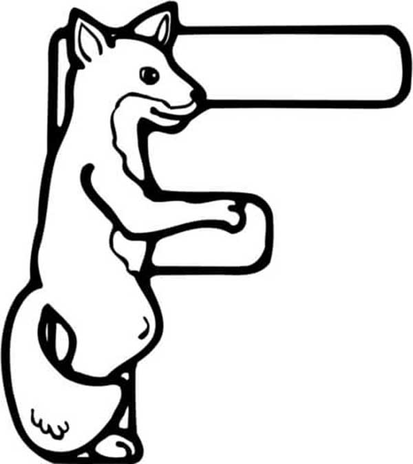 ensinando sobre animais