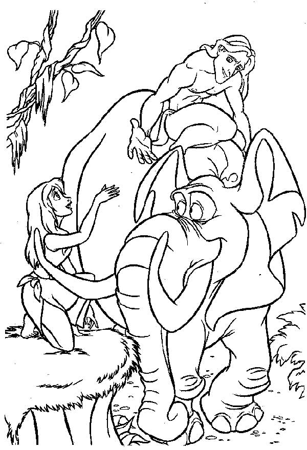 com elefante
