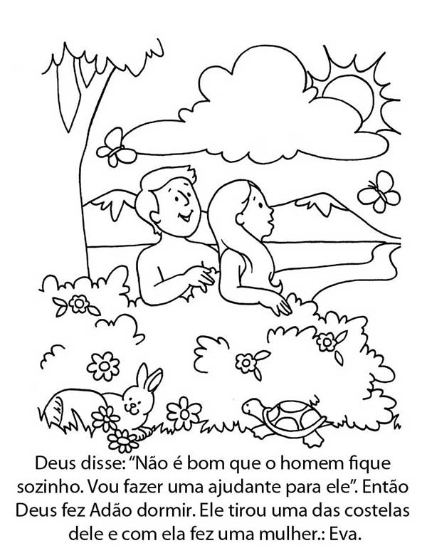 com frase com ensinamentos