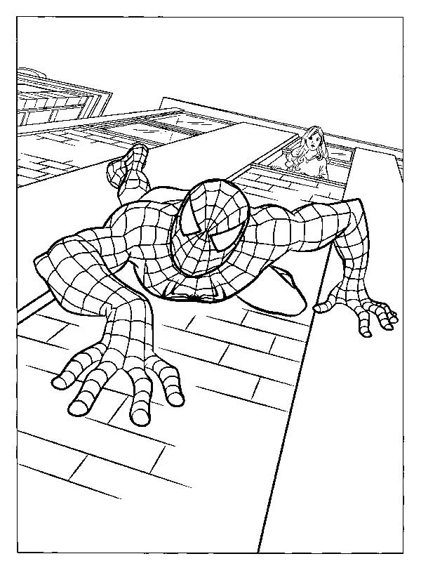 hoemm aranha para pintar