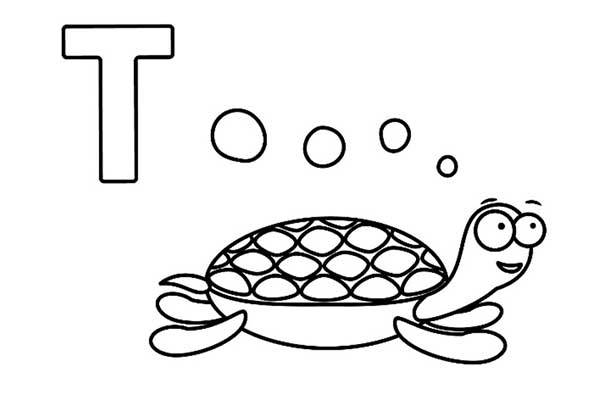 tartaruga tartaruga