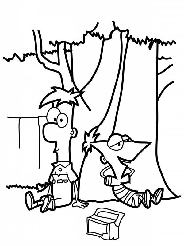 Phineas e Ferb para pintar na floresta