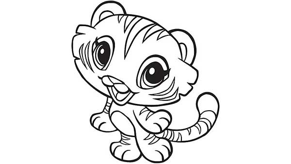 bebe 2