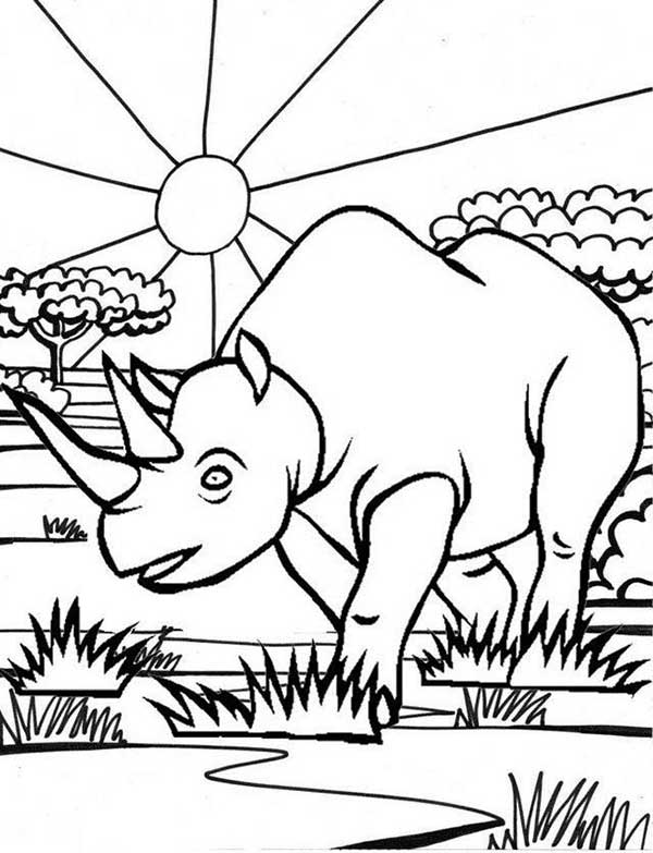 com dois chifres Fotos de Desenhos de Rinoceronte