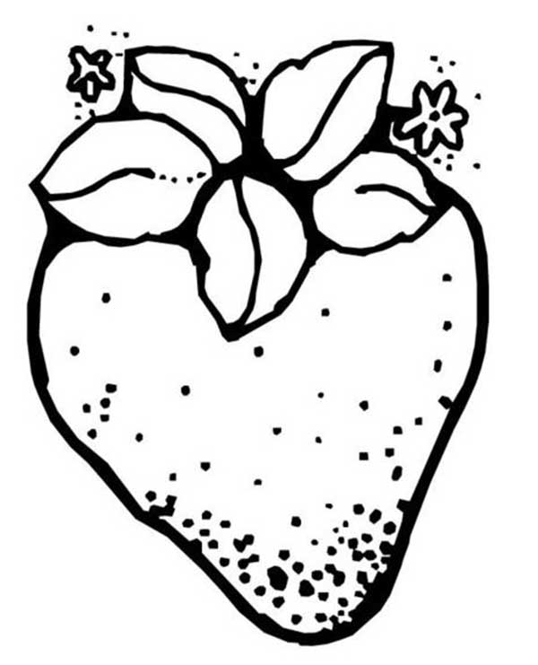 desenhos de morango para colorir