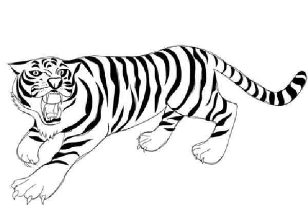 felino gigante para imprimir