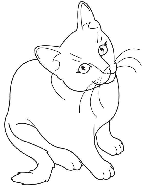75+ Desenhos Realistas para Imprimir e Colorir/Pintar em Casa