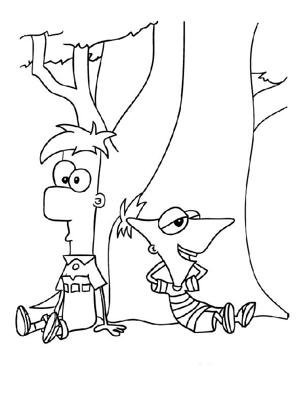meio irmaos Phineas e Ferb para pintar