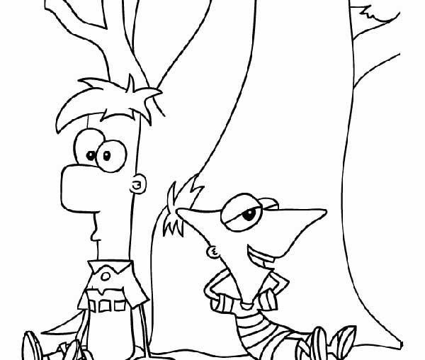 na arvore 1 Desenhos do Phineas e Ferb
