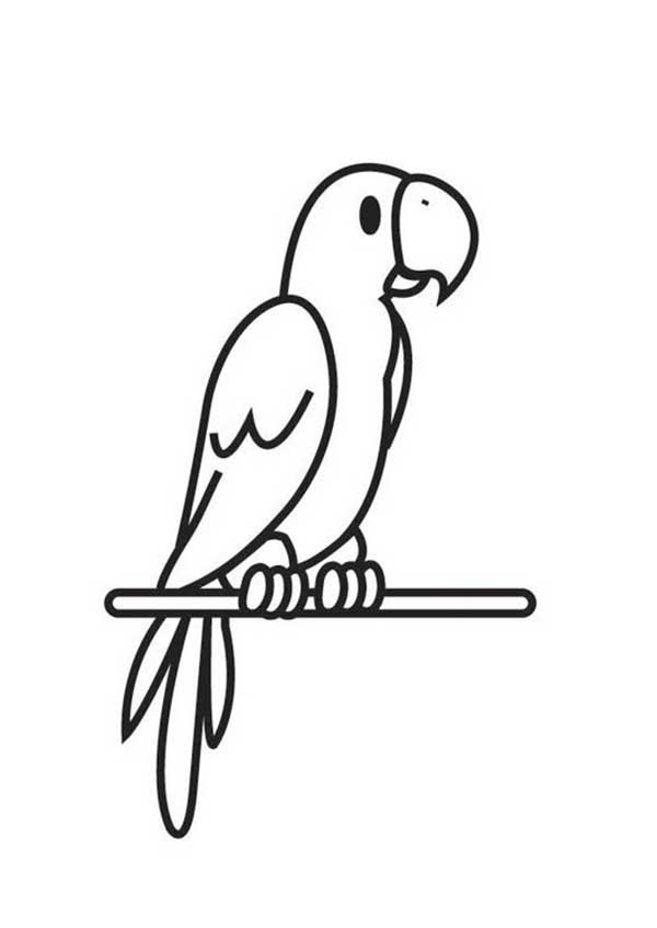 desenhos de pássaros