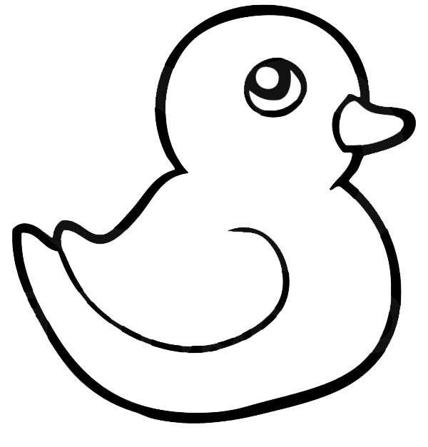 pato pato
