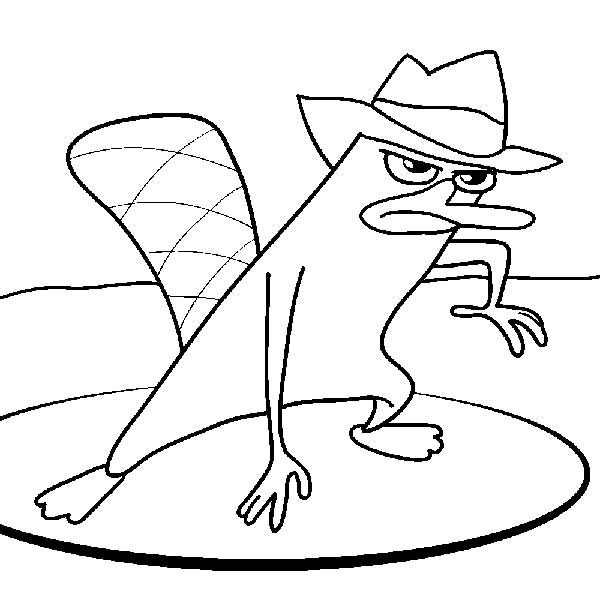 perry para pintar personagens da franquia